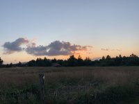 A8D6243A-192D-47CF-B9B3-B7EC78A259F7.jpeg
