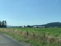 8A1DDF92-8262-4ABD-84CB-0143139F5C56.jpeg