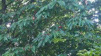 WP_20190711_16_32_53_Pro.jpg