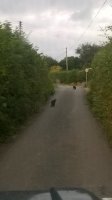 WP_20190714_21_24_00_Pro.jpg