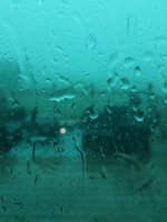 20190720_104749.jpg