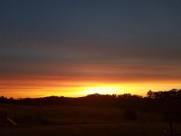 20190720_205405.jpg