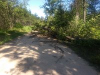 IMG_20190722_163534638.jpg