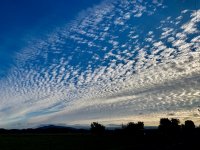 67E6D679-FE5C-47C6-AC33-8F6C91924950.jpeg