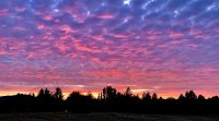 3974BA65-8637-4FAC-BD4A-2F19286ED030.jpeg