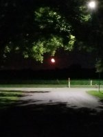 20190723_001949.jpg