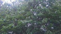 WP_20190722_16_01_43_Pro.jpg