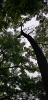 20190617_134108.jpg