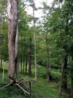 20190730_165355.jpg