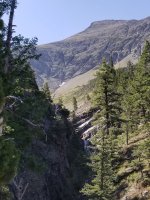 20190806_110128.jpg