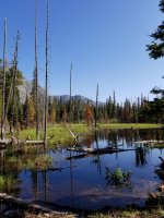 20190806_093249.jpg