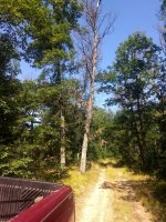 IMG_20190807_113227384.jpg