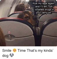 kick-my-seat-again-and-ill-tell-tsa-i-smelled-36681579.png