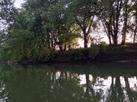 20190808_201116_HDR.jpg