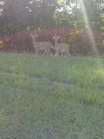 20190809_181233.jpg