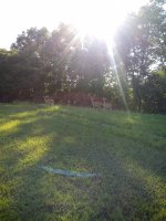 20190809_181231.jpg