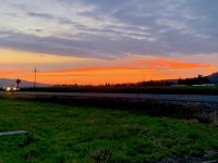 0004C44E-ABC8-484F-908C-2E54333DBBE4.jpeg