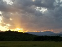 Resized_20190806_204208.jpeg