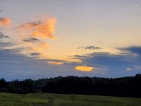 20190810_201147.jpg