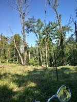 20190811_100956_HDR.jpg