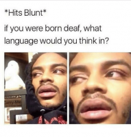 hits-blunt-if-you-were-born-deaf-what-language-would-14905889.png
