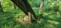 20190804_092710.jpg
