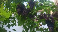 WP_20190806_16_21_02_Pro.jpg