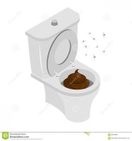 dirty-toilet-*s-word-toilet-turd-toilet-latrine-stench-flies-69440686.jpg