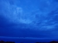 20190816_053803.jpg