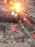 15660018080178697613238638384665.jpg