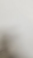 20190817_004418.jpg