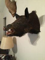 18E589B2-091A-4AC1-A5D3-7D29E0F1FE3F.jpeg