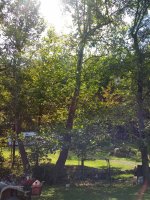 20190818_122527.jpg