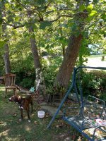 20190818_121523.jpg