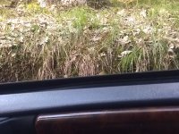 IMG_20190822_175738149.jpg