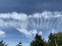 E71B378F-EFC6-4729-9213-BC12F2686A67.jpeg
