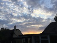 AF9988A7-EF85-4BC9-B498-5389BC37D3ED.jpeg