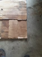 20190825_114710[1].jpg