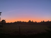 65A67936-FC14-4745-A391-7B26C6D8D5B4.jpeg