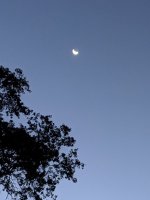 IMG_20190826_055847.jpg