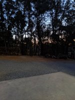 IMG_20190826_060108.jpg