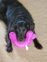 20190825_164732.jpg