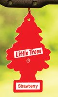 Trees_Product-Image_308x513.jpg