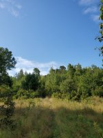 20190901_093612.jpg