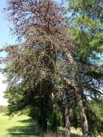 20190903_130444.jpg