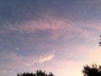 725E47C6-7713-4C38-90DB-581C25BAB910.jpeg