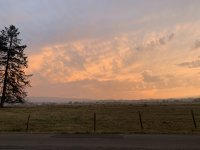 A37D4F08-BC7A-4032-A350-6B3AB58813F6.jpeg