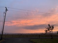 73FF7AAD-DD92-4768-B8E4-1EA1A3CDD41B.jpeg
