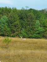 20190907_081943.jpg