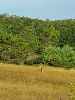 20190907_081845.jpg